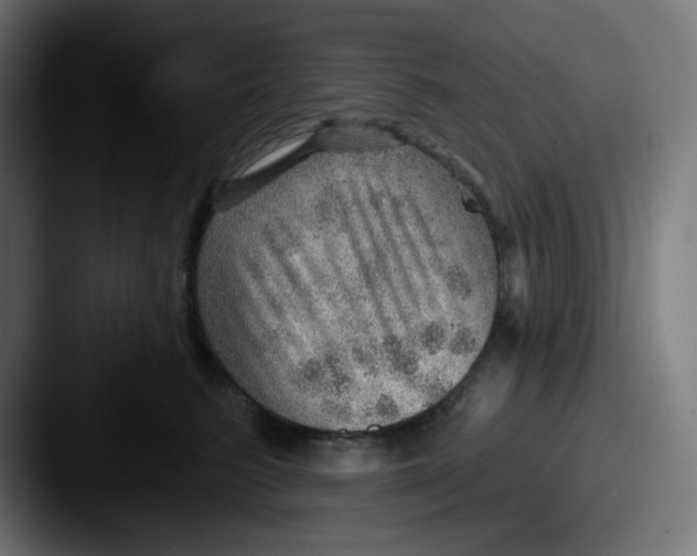 X0000087550615200705181108