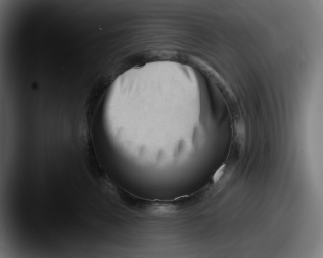 X0000087550617200705181107