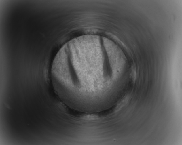 X0000087550619200705181107