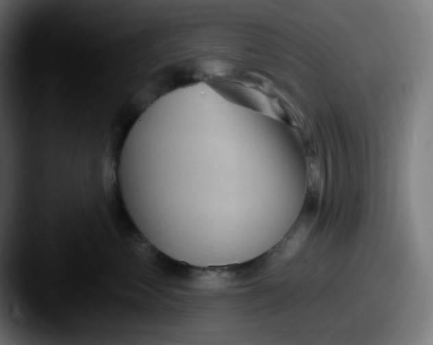 X0000087550621200705181107