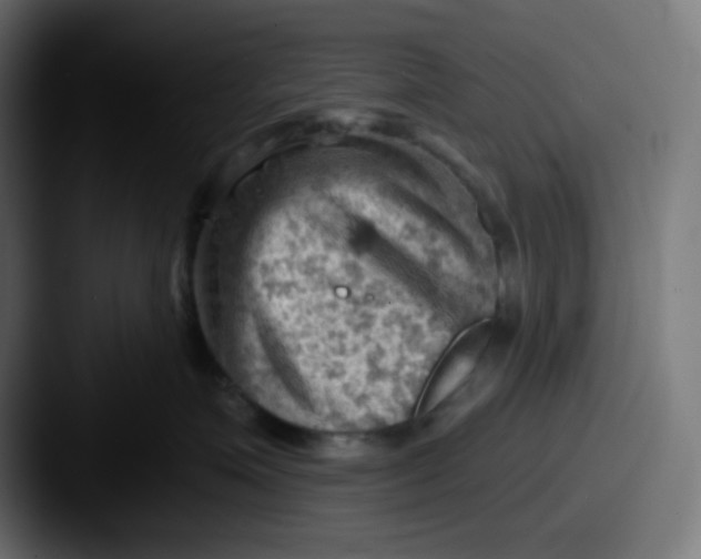 X0000087550623200705181107