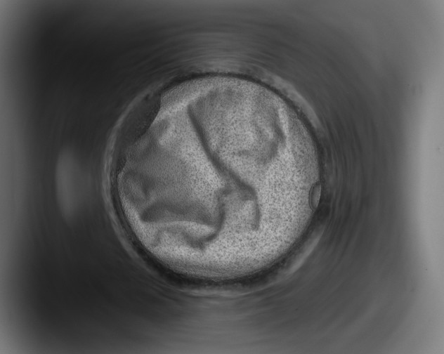 X0000087550625200705181107