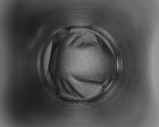 X0000087550627200705181107