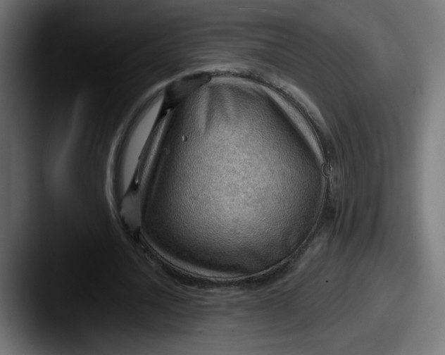 X0000087550628200705181107