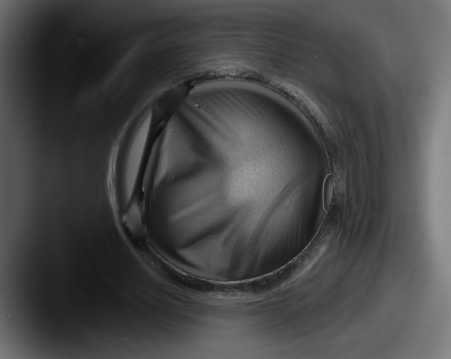 X0000087550630200705181107