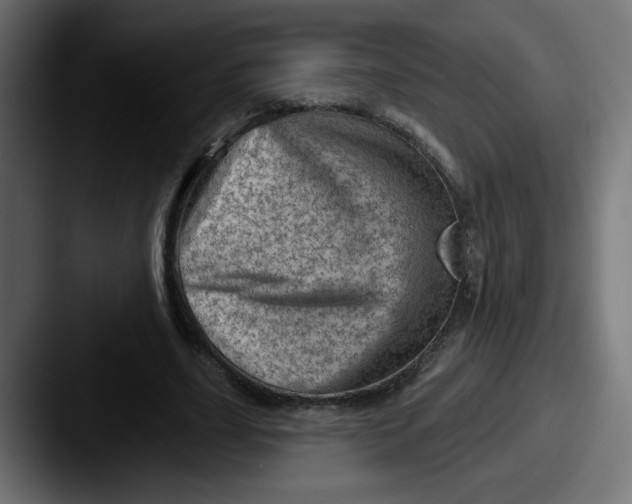 X0000087550631200705181107