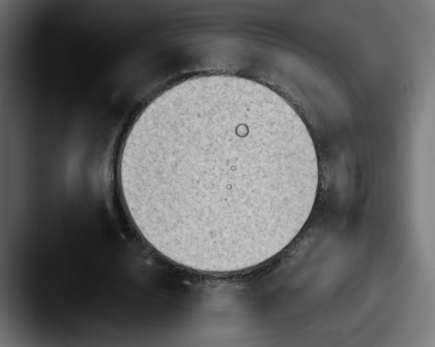 X0000087550632200705181107