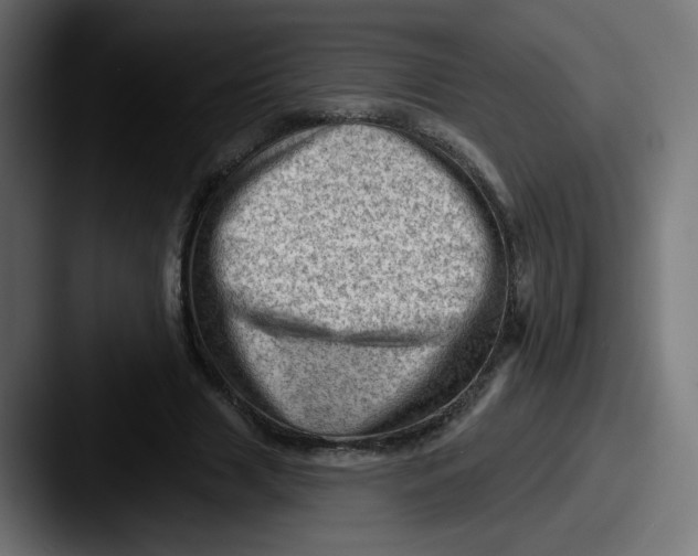 X0000087550633200705181107