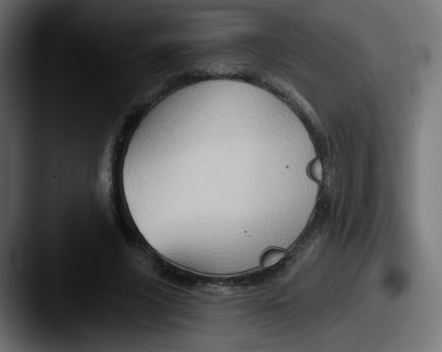 X0000087550635200705181107