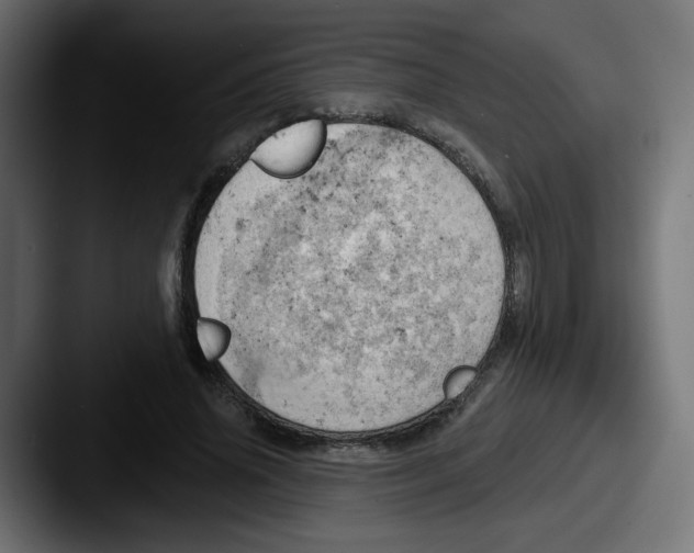 X0000087550636200705181107