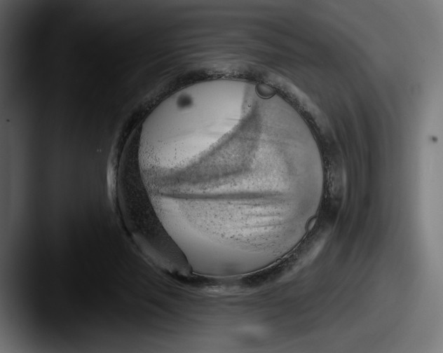 X0000087550637200705181107