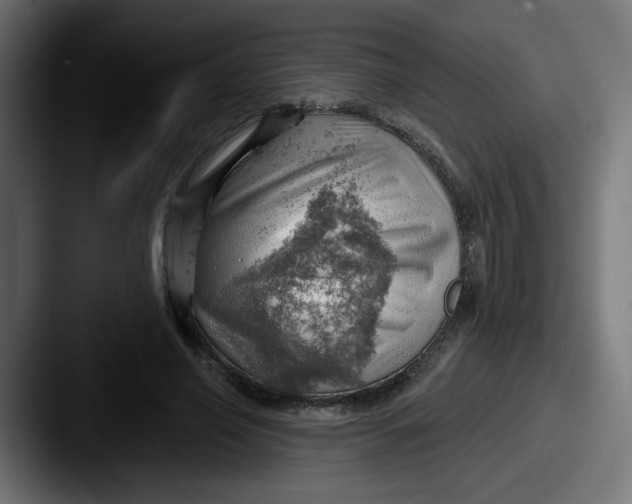 X0000087550638200705181107