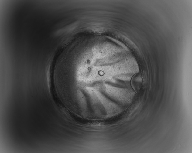 X0000087550639200705181107