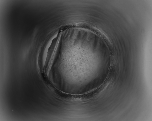 X0000087550640200705181107