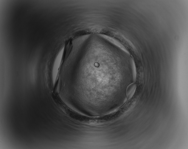 X0000087550641200705181107