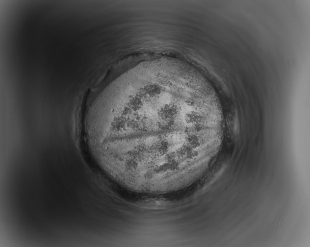 X0000087550642200705181107