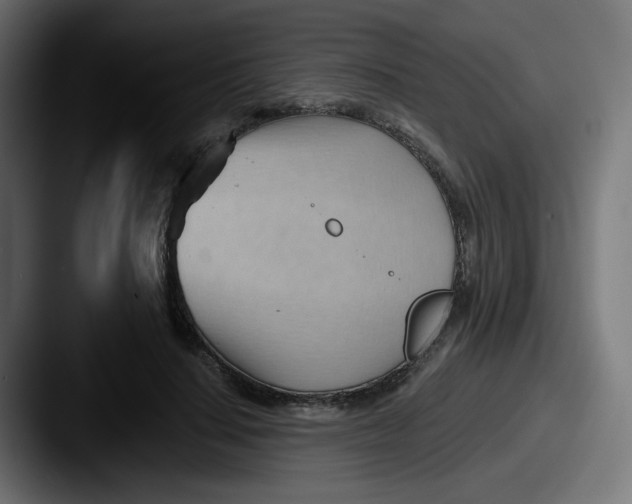 X0000087550644200705181107