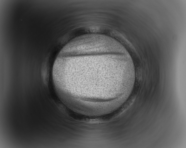 X0000087550645200705181107