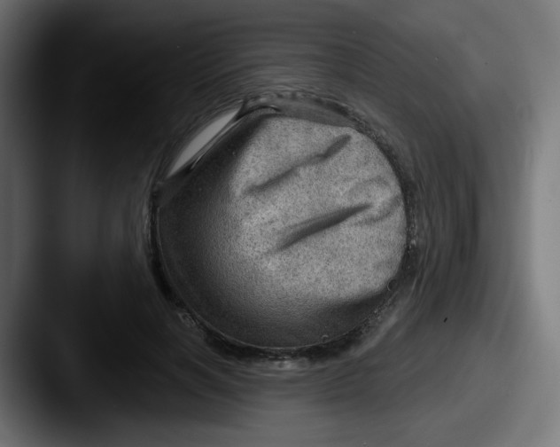 X0000087550646200705181107