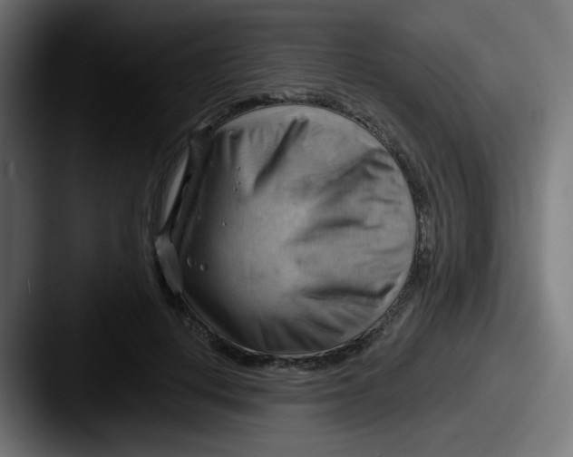 X0000087550648200705181107