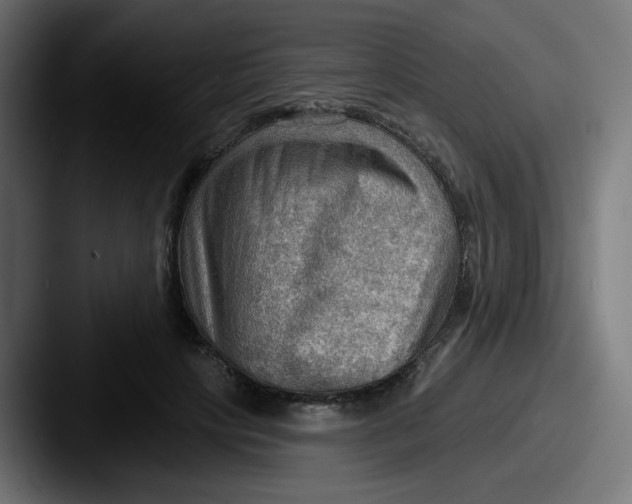 X0000087550649200705181107