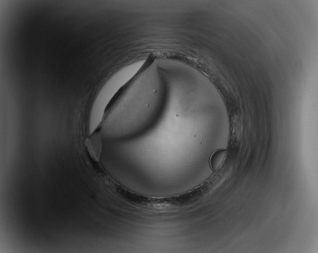 X0000087550650200705181107