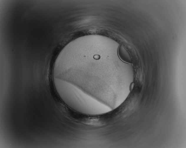 X0000087550651200705181107