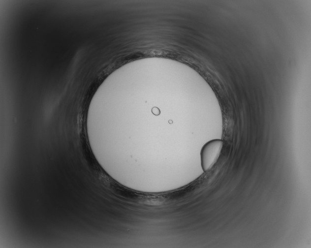 X0000087550652200705181107