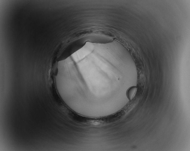 X0000087550654200705181107