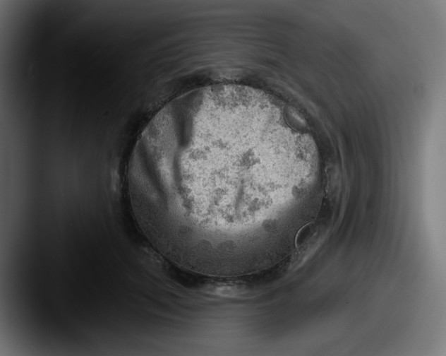 X0000087550655200705181107