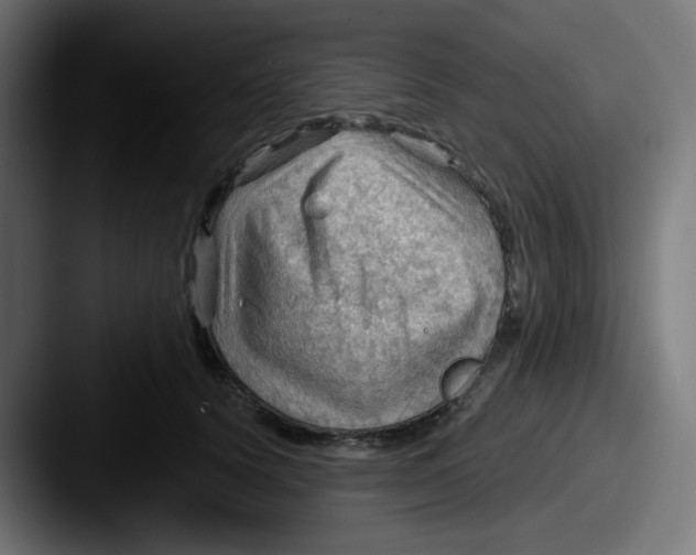 X0000087550656200705181107