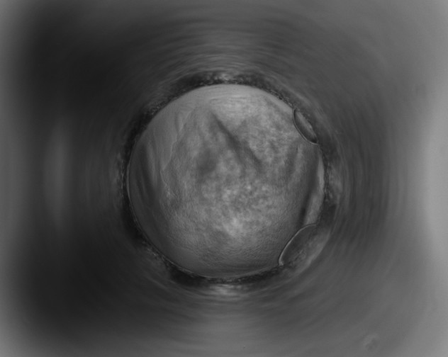 X0000087550657200705181107