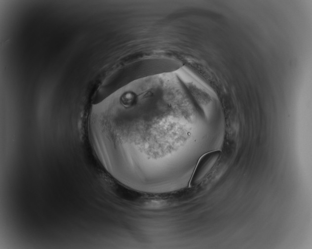 X0000087550658200705181107