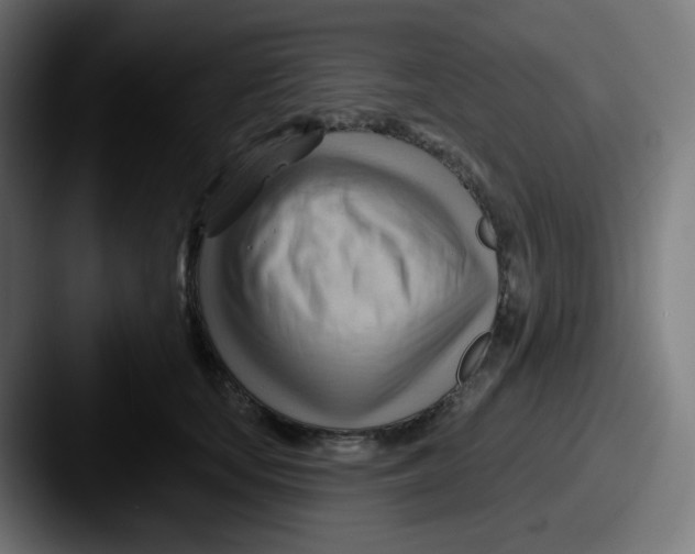 X0000087550659200705181107