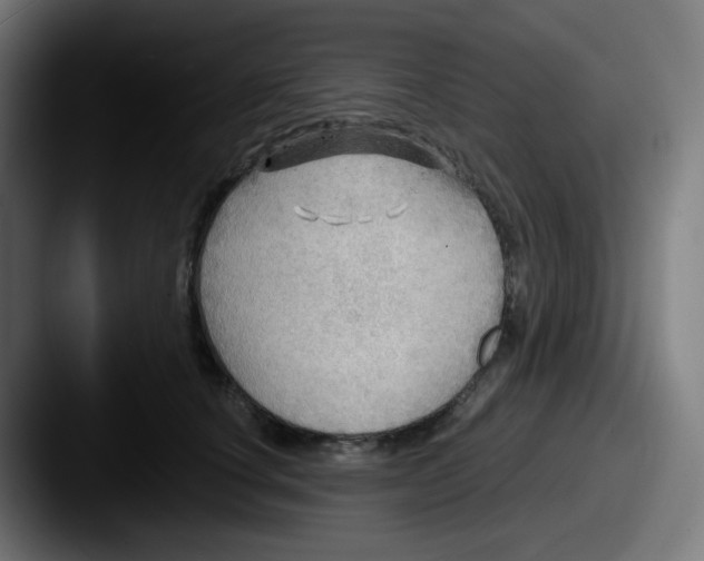 X0000087550660200705181107