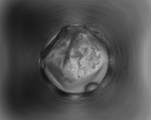 X0000087550662200705181107