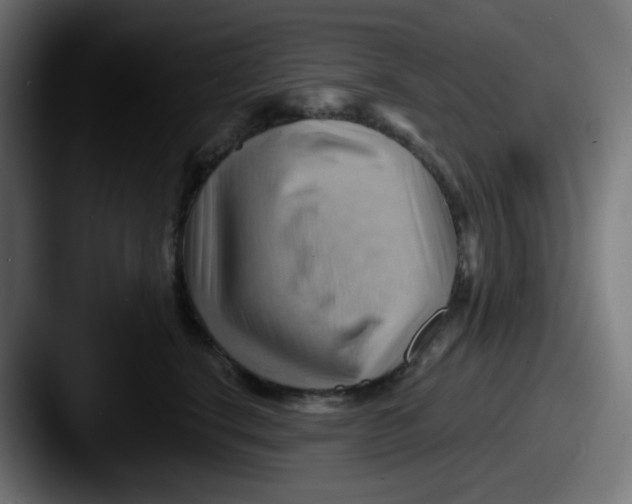 X0000087550664200705181107