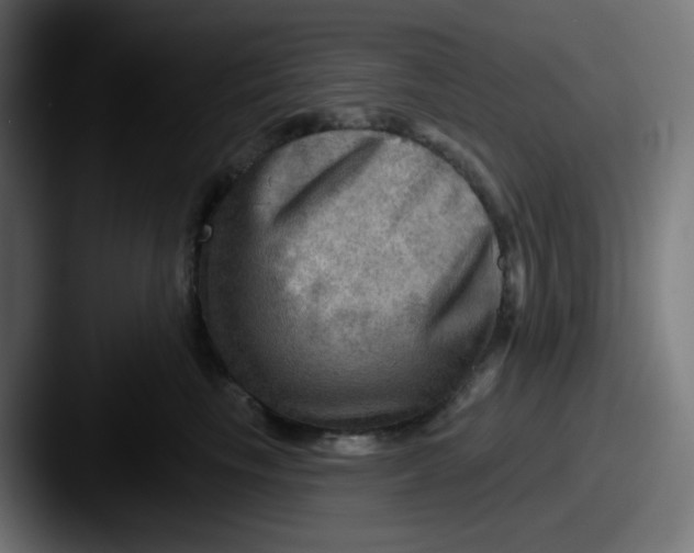 X0000087550665200705181107