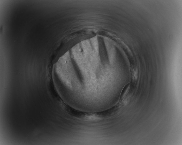 X0000087550666200705181107