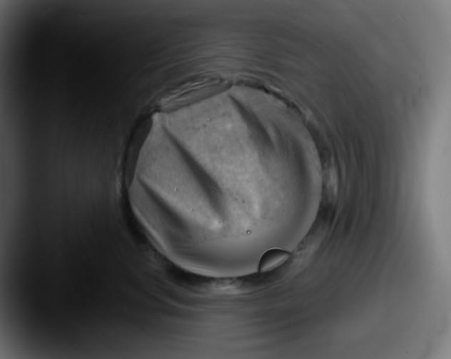 X0000087550668200705181107