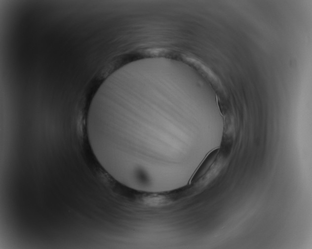 X0000087550669200705181107