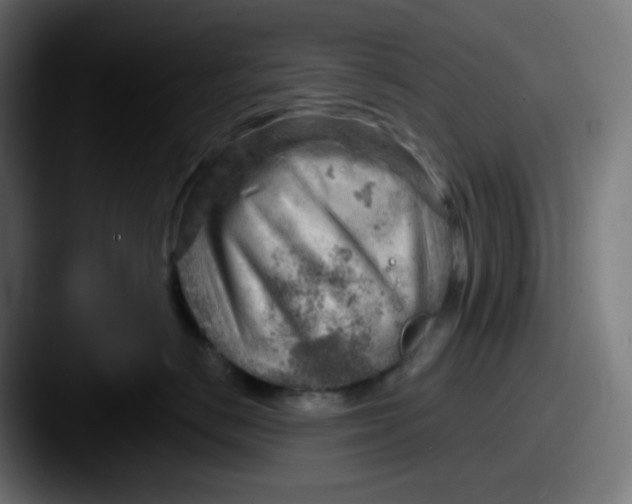 X0000087550670200705181107