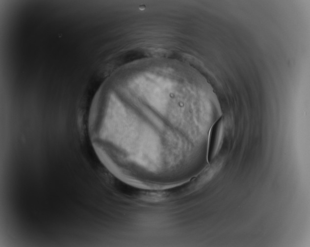 X0000087550671200705181107