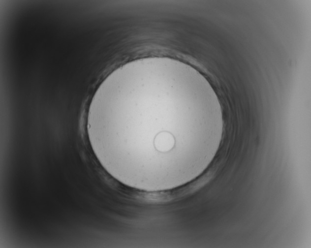 X0000087550672200705181107