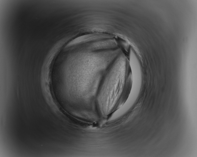 X0000087550673200705181107