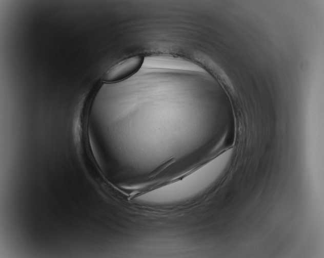 X0000087550674200705181107