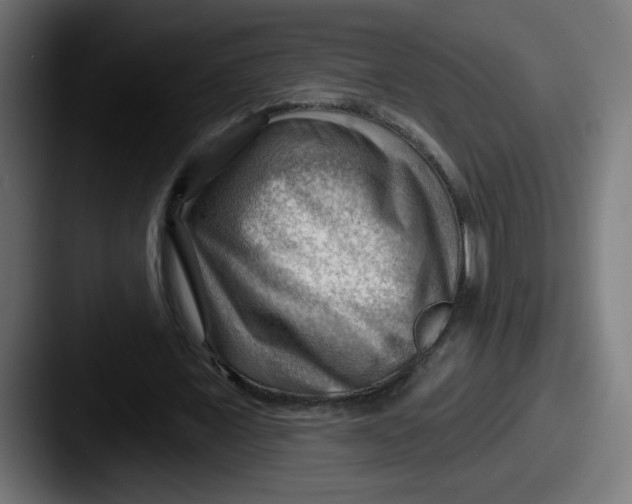 X0000087550675200705181107