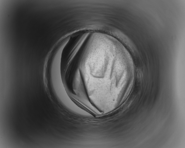 X0000087550676200705181107