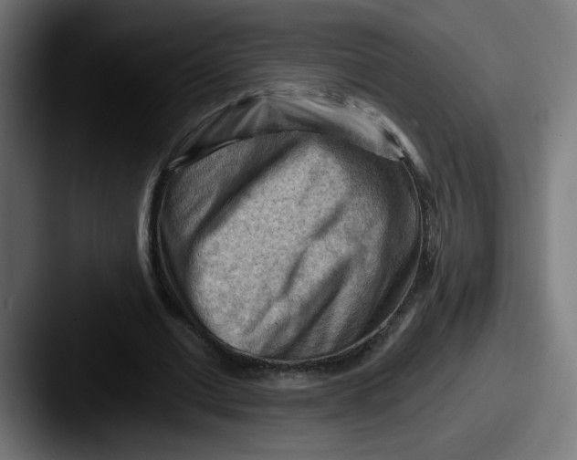 X0000087550677200705181107