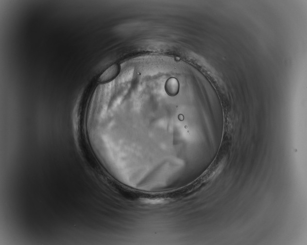 X0000087550679200705181107